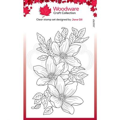 Creative Expressions Woodware Clear Stamp Singles - Garden Spray